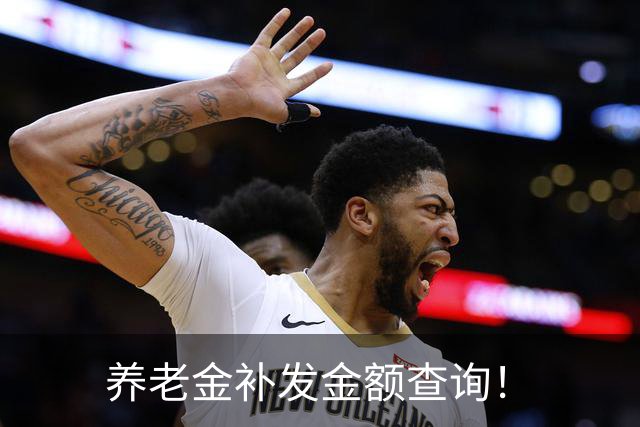 养老金补发金额查询！