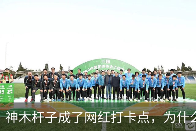 神木杆子成了网红打卡点，为什么要围起来？